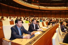 Đoàn đại biểu Quốc hội tỉnh Thái Bình tại kỳ họp. Ảnh: TTXVN