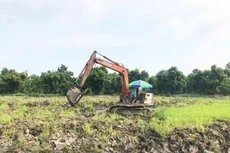 Chuyển mục đích sử dụng đất lúa, đất rừng làm dự án có nhiều điểm mới