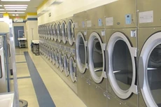 Ảnh chỉ mang tính minh họa. Nguồn Internet