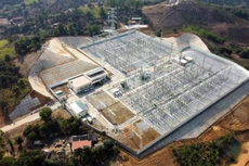 EVNNPT khắc phục khó khăn do dịch COVID-19, đảm bảo tiến độ các dự án truyền tải điện