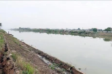 Ảnh chỉ mang tính minh họa. Nguồn Internet