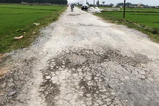 Ảnh chỉ mang tính minh họa. Nguồn Internet