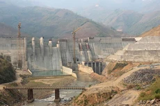 Ảnh chỉ mang tính minh họa. Nguồn Internet