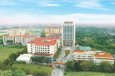 Ảnh chỉ mang tính minh họa. Nguồn Internet