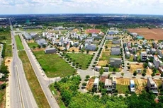 Ảnh chỉ mang tính minh họa. Nguồn Internet