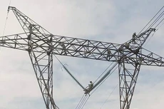 Ảnh chỉ mang tính minh họa. Nguồn Internet