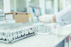 Điểm tin kế hoạch lựa chọn nhà thầu một số gói thầu lớn ngày 29/7