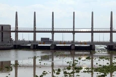 Ảnh chỉ mang tính minh họa. Nguồn Internet