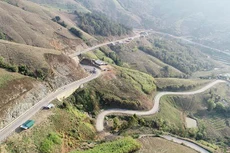 Ảnh chỉ mang tính minh họa. Nguồn Internet