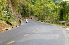 Ảnh chỉ mang tính minh họa. Nguồn Internet