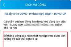 Cách nộp hồ sơ trực tuyến đề nghị hưởng chính sách hỗ trợ từ Quỹ BHTN