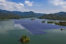 Ảnh chỉ mang tính minh họa. Nguồn Internet