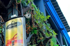 Ảnh chỉ mang tính minh họa. Nguồn Internet