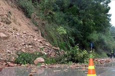 Ảnh chỉ mang tính minh họa. Nguồn Internet