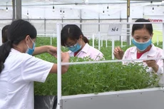 Ảnh chỉ mang tính minh họa. Nguồn Internet