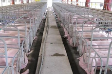 Ảnh chỉ mang tính minh họa. Nguồn Internet