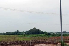 Đồn thổi duyệt quy hoạch, giá đất ven sông Hồng 'dậy sóng'