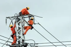 Gặp khó khi khảo sát hiện trường gói thầu ngành điện mùa dịch