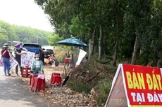 Bô Xây dựng yêu cầu các địa phương báo cáo về giải pháp, kết quả xử lý hiện tượng tăng giá đất trong thời gian vừa qua.