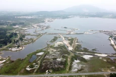 Ảnh chỉ mang tính minh họa. Nguồn Internet