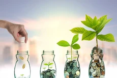 Hội đồng quản lý Quỹ Hỗ trợ đầu tư quyết định chiến lược, kế hoạch hoạt động 05 năm, hằng năm của Quỹ