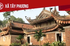 Ngày 8/2/2026, đấu giá quyền sử dụng đất tại xã Tây Phương, Hà Nội