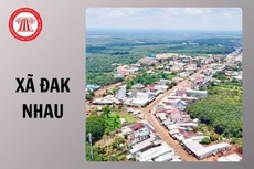 Ngày 6/2/2026, đấu giá quyền sử dụng đất tại xã Đăk Nhau, tỉnh Đồng Nai