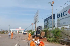 Ngày 31/12/2025, đấu giá VTTB, TSCĐ của công ty Điện lực Quảng Trị