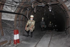 Ảnh minh họa. Nguồn: Internet