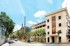 Ngày 28/1/2026, đấu giá khai thác, xử lý và tiêu thụ tro xỉ thu hồi năm 2025 - 2026 của Công ty cổ phần Nhiệt điện Ninh Bình