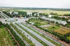 Ngày 26/1/2026, đấu giá quyền sử dụng đất tại xã Phước An, tỉnh Đồng Nai