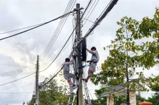 Ngày 25/11/2025, đấu giá thiết bị đầu cuối không còn sử dụng của Viễn thông Tây Ninh