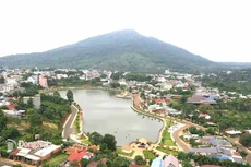 Ngày 8/1/2026, đấu giá quyền sử dụng đất tại phường Bình Phước, tỉnh Đồng Nai