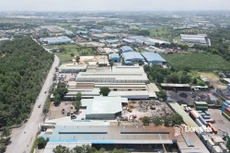 Ngày 27/2/2026, đấu giá quyền sử dụng đất tại phường Phước Tân, tỉnh Đồng Nai