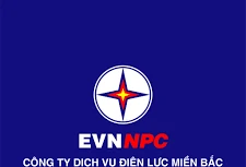 Ngày 26/9/2025, đấu giá Lô hàng TSCĐ, VTTB thu hồi kém MPC thanh lý đợt 1/2024 của Công ty Dịch vụ điện lực miền Bắc