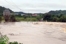 Ngân hàng Thế giới đã phê duyệt cung cấp khoản vay gần 145 triệu USD tăng khả năng chống lũ tại Đà Nẵng, Gia Lai. Ảnh minh họa