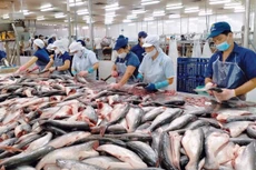 Bộ Công Thương ban hành bộ thủ tục hành chính mới trong lĩnh vực xuất nhập khẩu