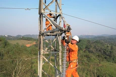 Ngày 2/1/2026, đấu giá Lô số 1 - VTTB, TSCĐ của Công ty Điện lực Quảng Trị