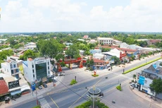 Ngày 29/1/2026, đấu giá quyền sử dụng đất tại xã Phú Giáo, TP.HCM