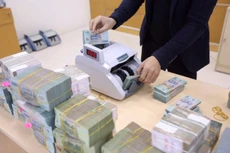 Hà Nội dự kiến bố trí hơn 1.000 tỷ đồng triển khai chương trình khuyến nông giai đoạn 2026 - 2030. Ảnh minh họa