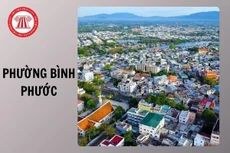 Ngày 21/1/2026, đấu giá quyền sử dụng đất tại phường Bình Phước, tỉnh Đồng Nai