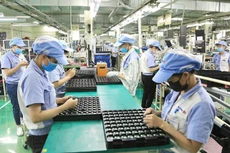 Hà Nội nỗ lực hoàn thành chỉ tiêu giải quyết việc làm cho 169.000 lao động