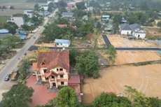 Ngày 6/2/2026, đấu giá quyền sử dụng đất tại xã An Nghĩa, tỉnh Phú Thọ