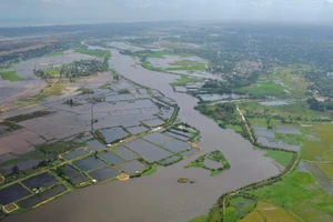 Ảnh minh họa, nguồn Internet