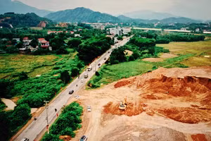 Ảnh: Lê Tiên