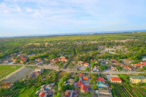 Ảnh minh họa, nguồn Internet