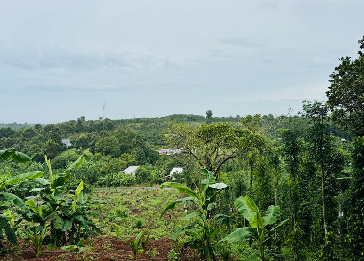 Hiệu quả cuối cùng của bảng giá đất sẽ phụ thuộc vào cách tổ chức thực hiện, mức độ đồng thuận xã hội và khả năng tiếp tục điều chỉnh linh hoạt trong những năm tới. Ảnh: Bảo Tín