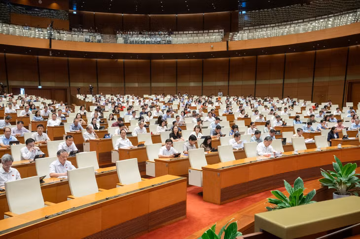 Các vị đại biểu Quốc hội tham dự phiên họp