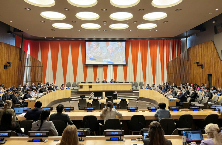 Phiên họp của Hội đồng Kinh tế Xã hội Liên hợp quốc ECOSOC bầu các thành viên của Hội đồng chấp hành của UN Women Phiên họp của Hội đồng Kinh tế Xã hội Liên hợp quốc ECOSOC bầu các thành viên của Hội đồng chấp hành của UN Women