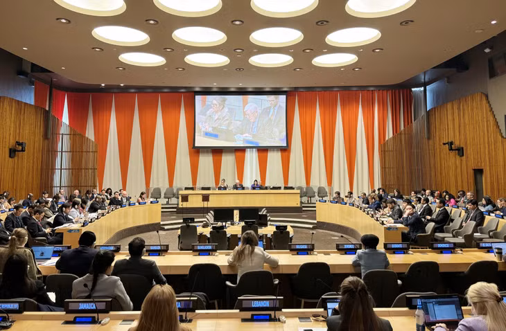 Phiên họp của Hội đồng Kinh tế Xã hội Liên hợp quốc ECOSOC bầu các thành viên của Hội đồng chấp hành của UN Women